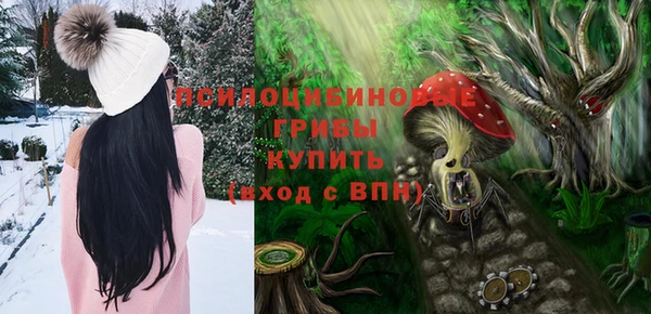 прущая мука Богородицк