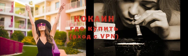 прущая мука Богородицк