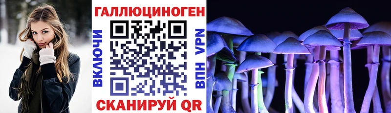 Псилоцибиновые грибы мицелий  где купить наркоту  Верхнеуральск 